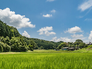 夏の青空と里山の風景