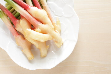 Japanese food ingredient, freshness young ginger 