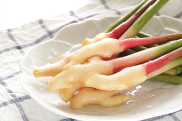 Japanese food ingredient, freshness young ginger 
