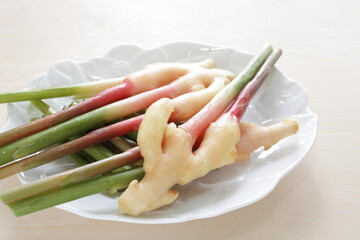 Fototapeta na wymiar Japanese food ingredient, freshness young ginger 