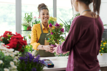 Woman buying a plant at the flower shop