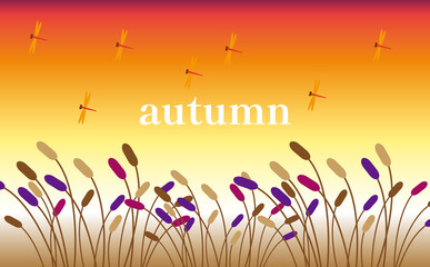 秋の夕暮れと赤トンボ背景 © yukari