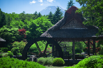 Fototapeta na wymiar 忍野八海の水車小屋と富士山