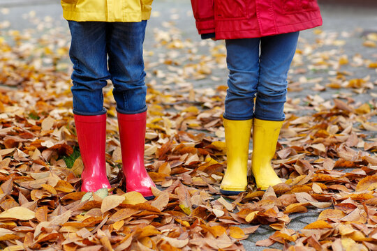 Two little children playing in red and yellow rubber boots in autumn park in colorful rain coats and clothes. Closeup of kids legs in shoes dancing and walking through fall autumnal leaves and foliage