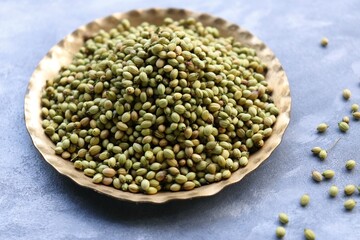 Organic dried coriander seed spice or Coriandrum sativum placed in a brass plate. copy space.