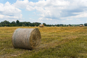 Roll of straw in an agricultural field with dry grass and blue skies with clouds in summer