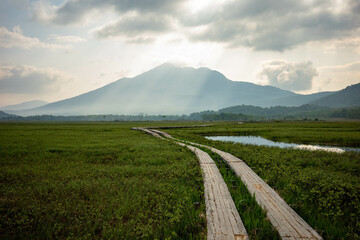 Early morning marshland