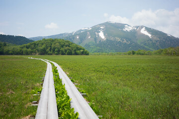Wetlands and Mountains