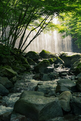 Fresh green Waterfall