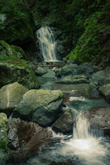 Fresh green Waterfall