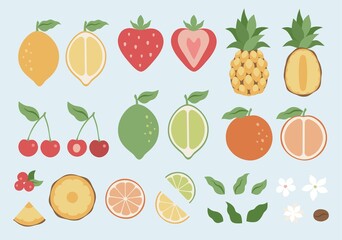 Summer fruit, berry big set. Retro Design Summer. Trendy vector hand drawn illustrations. Healthy natural food, juicy summer fruit elements for web, app, textile, wallpaper, stationery design. Vector 