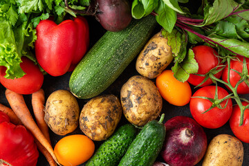 Fresh harvested autumn organic vegetables from the market. Healthy diet vegetarian food. Top view