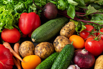 Assortment of fresh organic vegetables from the garden. Healthy diet vegetarian food