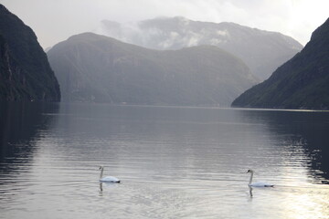 Obraz na płótnie Canvas Dirdal, localidad de Noruega a orillas de un fiordo. 