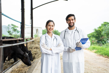 Portrait of young man and woman veterinary working outdoors in cowshed