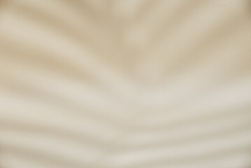 Fototapeta premium Abstract background with tropical palm leaves shadow on beige wall, Creative minimal design with copy space, Summer concept, flat lay