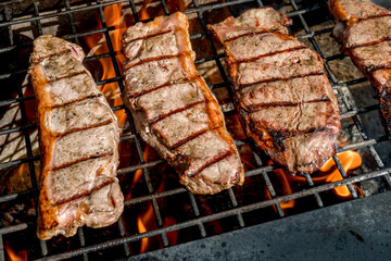 Beef steaks grilling on a cast iron grlill plate on a camp fire. Campfire cooking. Outdoor BBQ