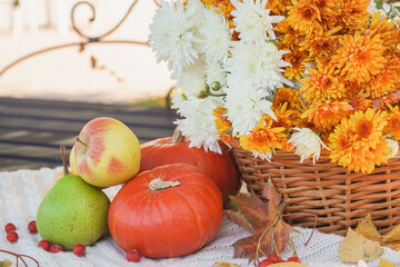 Naklejka na ściany i meble Beautiful autumn fall composition with bench, basket with chrysanthemums, pumpkins and fruits. Concept of Thanksgiving day or Halloween. Autumn background.