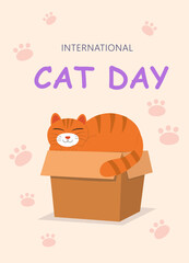 Postcard international day of the cat. Cat in a box on a pink background in an upright position