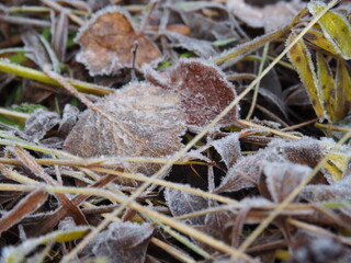 Ordesa, camino a la Cola de Caballo, en pleno otoño.