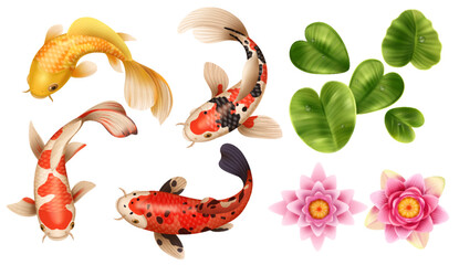 Lotus Koi Fish Set