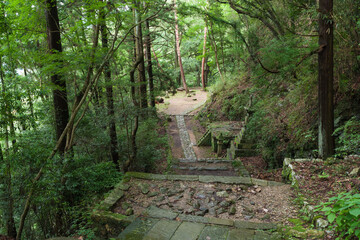 鳳来寺山の散策路