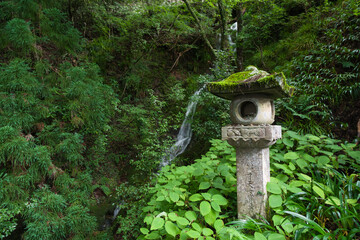 鳳来寺山の小さな滝・東海自然歩道