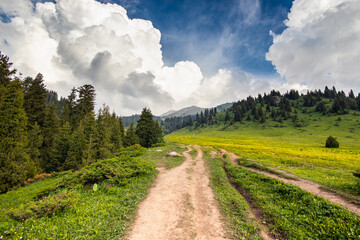Fototapeta na wymiar Picturesque landscape in mountains of Almaty in Ile Alatau national park.