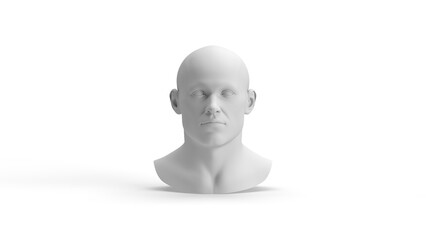 3D Human Head (Male)