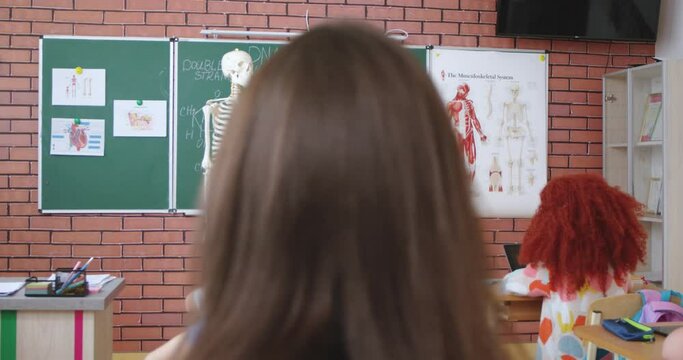 Cheerful Caucasian young male teacher of anatomy or biology bringing scelet to class and explaining human body and bones to pupils. At school. Education concept. Indoors. Teaching.
