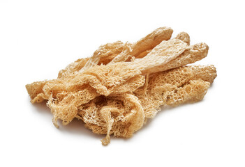 close up dry bamboo mushroom or on bamboo fungus isolated on white background                                                                                  