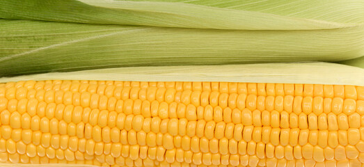 Corn peeled revealing its yellow cob