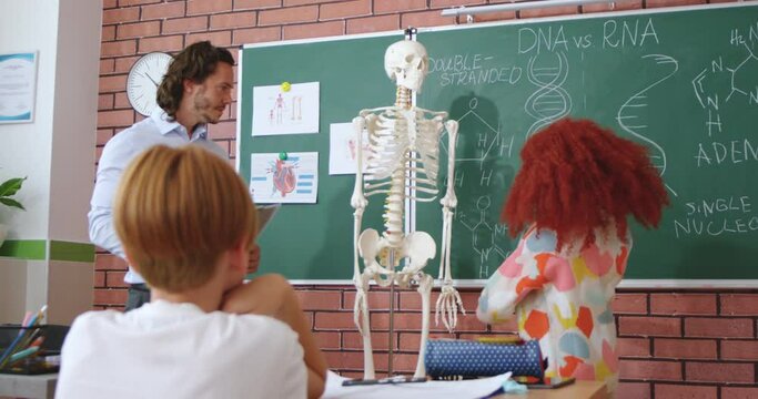 Caucasian small teen schoolgirl answering at human scelet model to man teacher of biology or anatomy. Classes at school concept. Education for children. Back view of pupils in classroom.