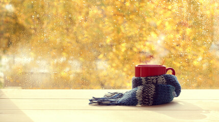 red mug is wrapped in a blue knitted scarf against the background of a window overlooking the autumn park after the rain. warm atmosphere for a break