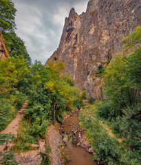 Fototapeta na wymiar Astonishing summer view of Cheile Turzii (Turzii's Gorge) canyon, large natural preserve with marked trails for scenic gorge hikes crossing streams & bridges. Beauty of nature concept background.