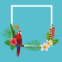 Frame with colorful parrot and tropical plans illustration