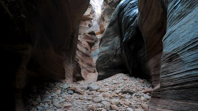 Motion Through Narrow Narrow Canyon With Smooth Wavy Walls