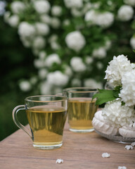 Summer picnic with tea and marshmallows in the summer garden. Tea drinking in the garden
