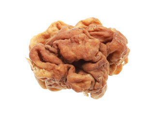 Stitches giant mushroom isolated on white