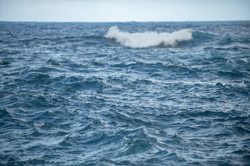 Naklejka premium Sea water in rippled water detail background. Ocean waves pattern.