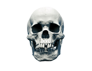 Anatomical Human skull white isolated background. Print, poster, postcard. Design materials. The concept of death, horror. A symbol of spooky Halloween. 3d rendering illustration.