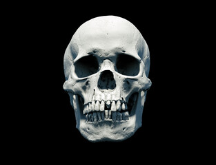 The Anatomical right Human skull in full face on a black isolated background. Concept of death, horror. Spooky Halloween symbol, virus. print, poster. wallpaper. 3d render illustration.
