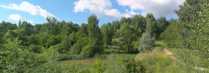 Obraz premium a forest park on the outskirts of the city