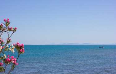 Beautiful seascape against the backdrop of defocused flowers. summer sea theme tourism travel and trip