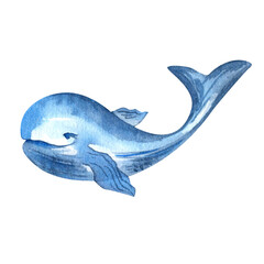 Blue whale. Watercolor illustration. Isolated element on a white background.