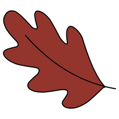 Red oak tree leaf