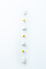 Set of fresh chamomile flowers among white stones on a white isolated background. view from above. art composition