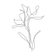 Obraz premium Abstract Flower Lily one line art drawing singulart aesthetic minimalist vector Isolated white background, Perfect for print, wall decor, phone case, shirt, sticker, pillow, acrylic, border, wallpaper