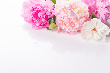 Obraz na płótnie Canvas Beautiful pink and white peony flowers on white, copy space for your text top view, flat lay