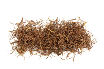 Cynanchum Herb Herbal Plant Medicine